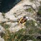 Patricia, fais gaffe a pas tomber dans l'eau en bas...