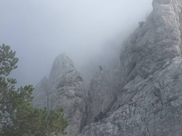Mt_Aiguille_CAF_030