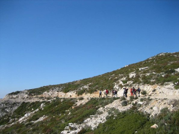 Le groupe