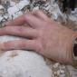 C'est une swatch, a qui elle est ?