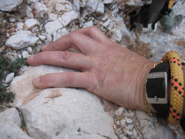 C'est une swatch, a qui elle est ?
