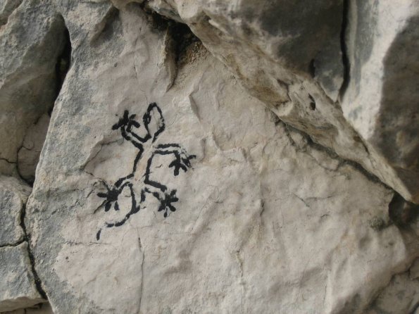 Un nouvel habitant des Calanques